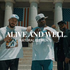 Natural Elements | Spotify