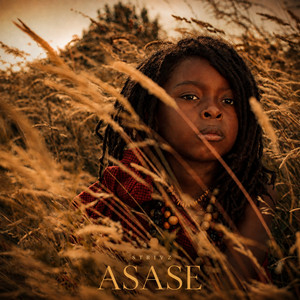 Asase by Strivz