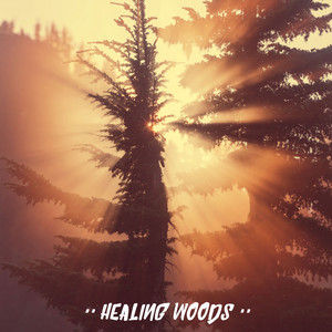 Forest Sounds - Morning Birds Singing