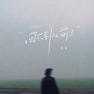 Yuan Tian - 回不到从前了