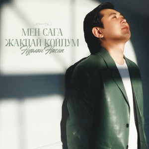 Нурлан Насип - Мен сага жакпай койдум