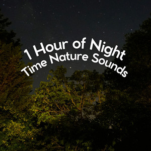 1 Hour of Night Time Nature Sounds album