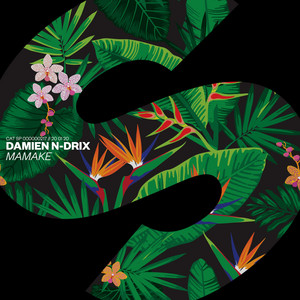 Damien N-Drix - Mamake (Extended Mix)