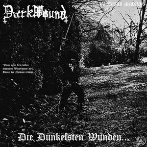 album cover: die dunkelsten wunden