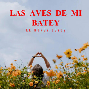 Las Aves De Mi Batey by El Honey Jesus Bachata