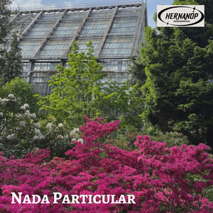 Nada Particular by HernanOP