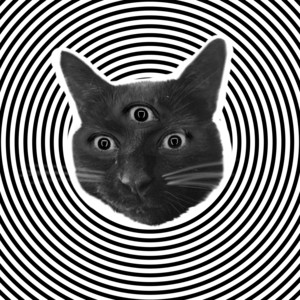 Le Chat Gris