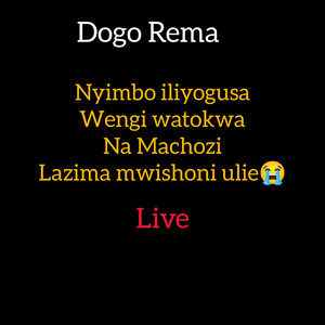 Tuzo Jeromini - Dogo Rema Nyimbo yake iliyowagusa wengi watokwa na machozi