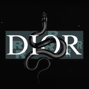 AnswerInc - Dior