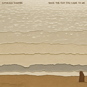 Chase it anyway by Catalina Damore
