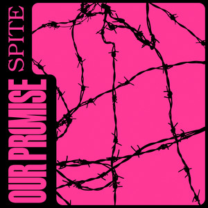 Spite by Our Promise