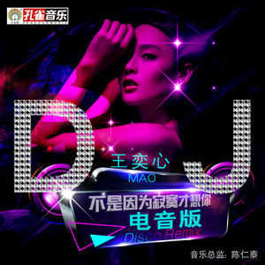 不是因为寂寞才想你 - DJ电音版Remix by 王奕心