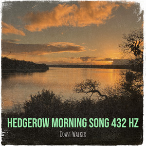 Hedgerow Morning Song 432 Hz by Coast Walker