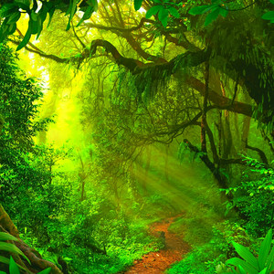 Lush by Pete Lorenz