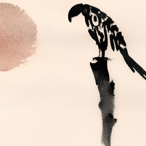 noteaf — Lonely Bird