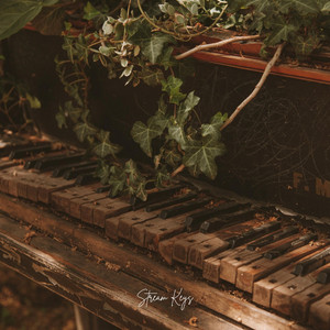 Faith in You by Stream Keys