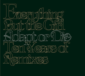 Adapt Or Die: 10 Years Of Remixes album
