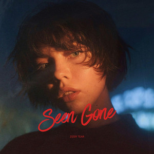 Seen Gone by Zizer tear