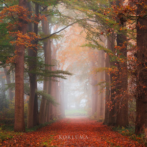 Autumn Mist by Korluma