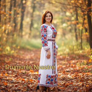 Drumurile Noastre by Dorina Dan