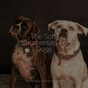 The Soft Instrumentals For Dogs album
