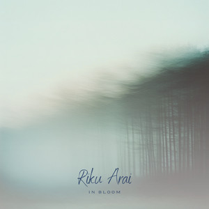 In Bloom by Riku Arai