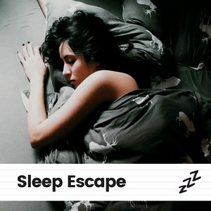 Sleep Escape album