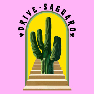 Saguaro by Drive