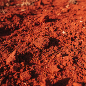 DEBRA YEVETTE GRANT - Between heart and love