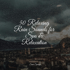 50 Relaxing Rain Sounds for Spa & Relaxation album