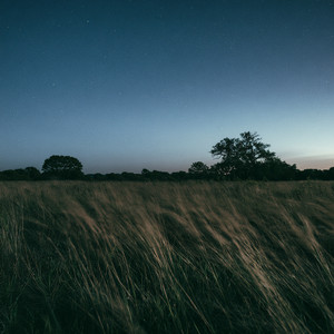 Almost Dreaming by Room Tone
