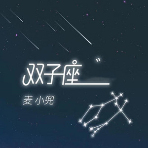 双子座 by 麦小兜