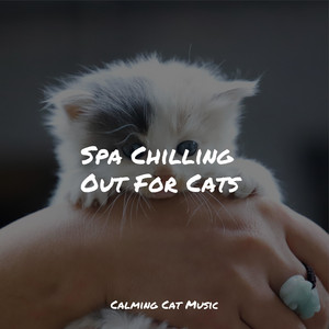 Spa Chilling Out For Cats album
