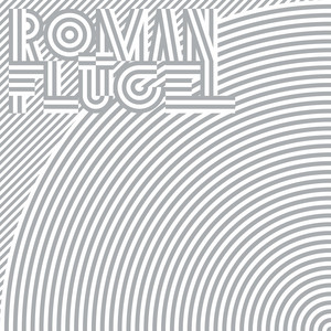Roman Flügel — Secret Service (2026)