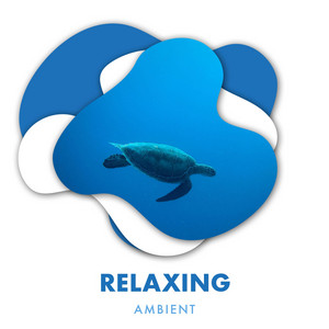 zZz Relaxing Ambient Ocean Noises zZz album