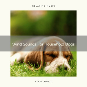 Wind Sounds For Household Dogs album