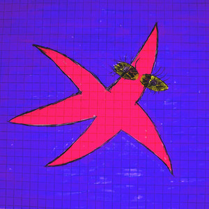Y2K STAR
