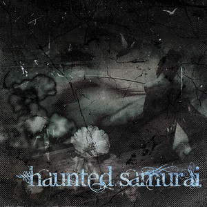 Past Reflections by Haunted Samurai Files