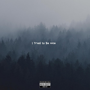 I Tried to Be Nice by Nick Vig
