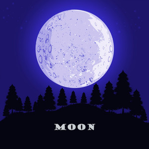 Moon by Nandy Sanlar