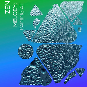 zZz Zen Melody: Raining at the Marsh zZz album