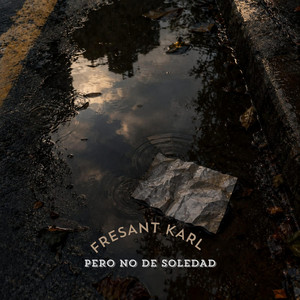 Pero no de soledad by Fresant karl