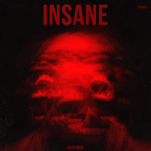 INSANE by ELLE RICH