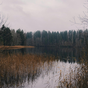 Almost Real by Anarekli