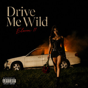 Drive Me Wild by Eleven 11