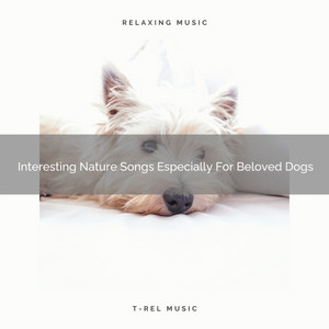 Interesting Nature Songs Especially For Beloved Dogs album