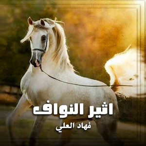 شيلة اثير النواف by فهاد العلي