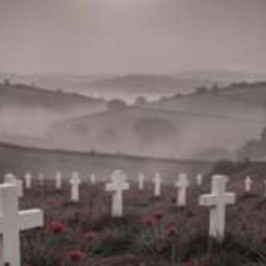 Poppy Fields - Original Version by TampaBayJay