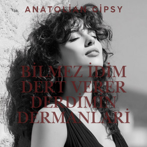 Bilmez İdim Dert Verer Derdimin Dermanlari