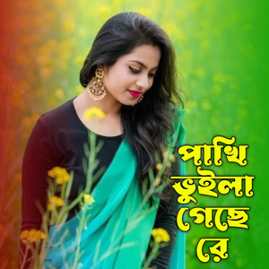 Afrin Khan - Pakhi Bhuila Gese Re